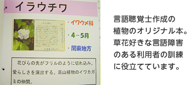 言語聴覚士作成の植物のオリジナル本。草花好きな言語障害のある利用者の訓練に役立てています。